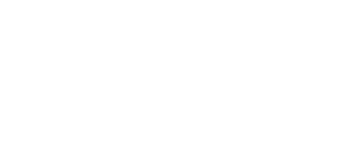 TIN X — Think Bold. Build Next.